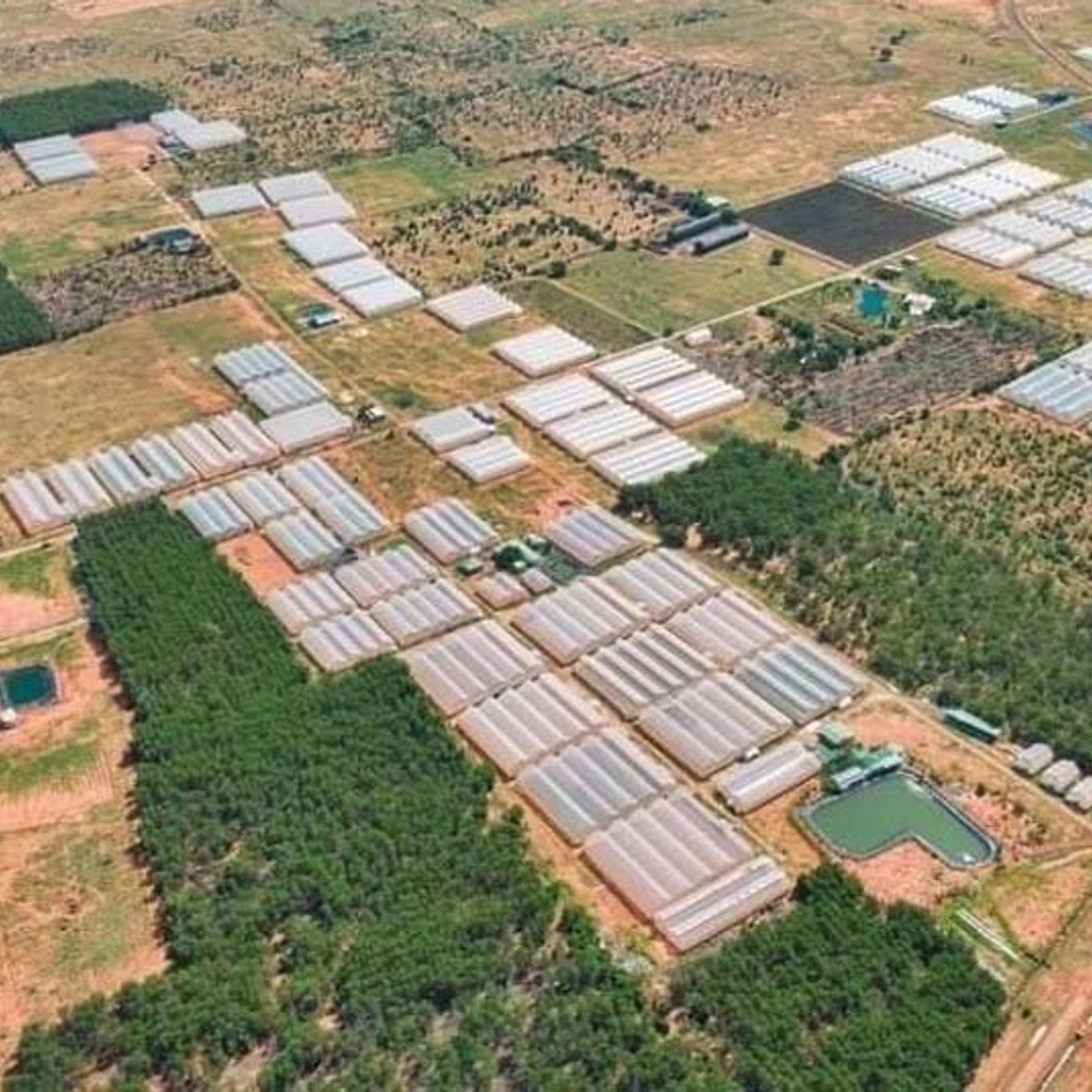 Bất động sản Đất Nền