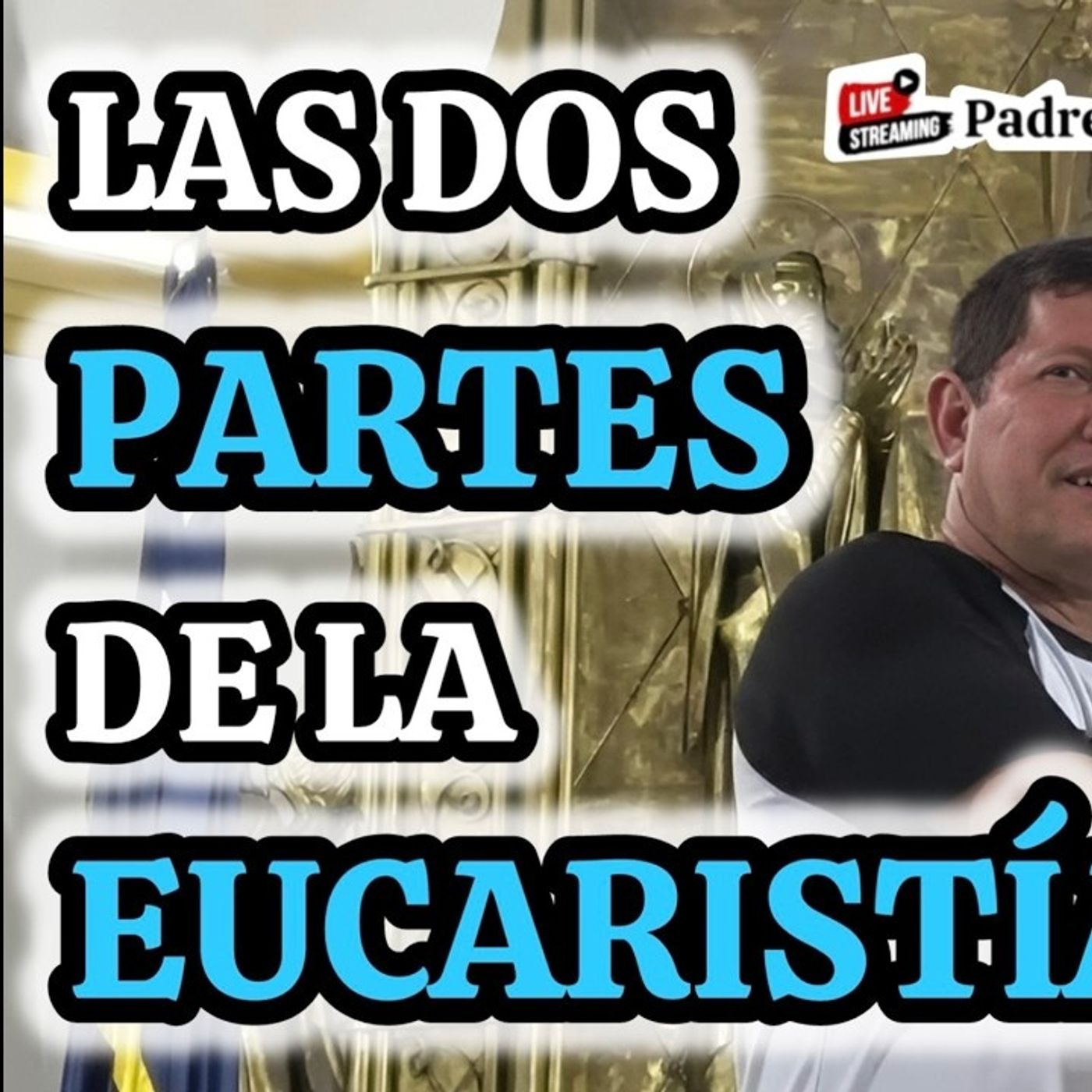 25-26_ Los CATOLICOS Van a la EUCARISTÍA y No SABEN lo que VIVEN__ Padre LUIS TORO episode artwork