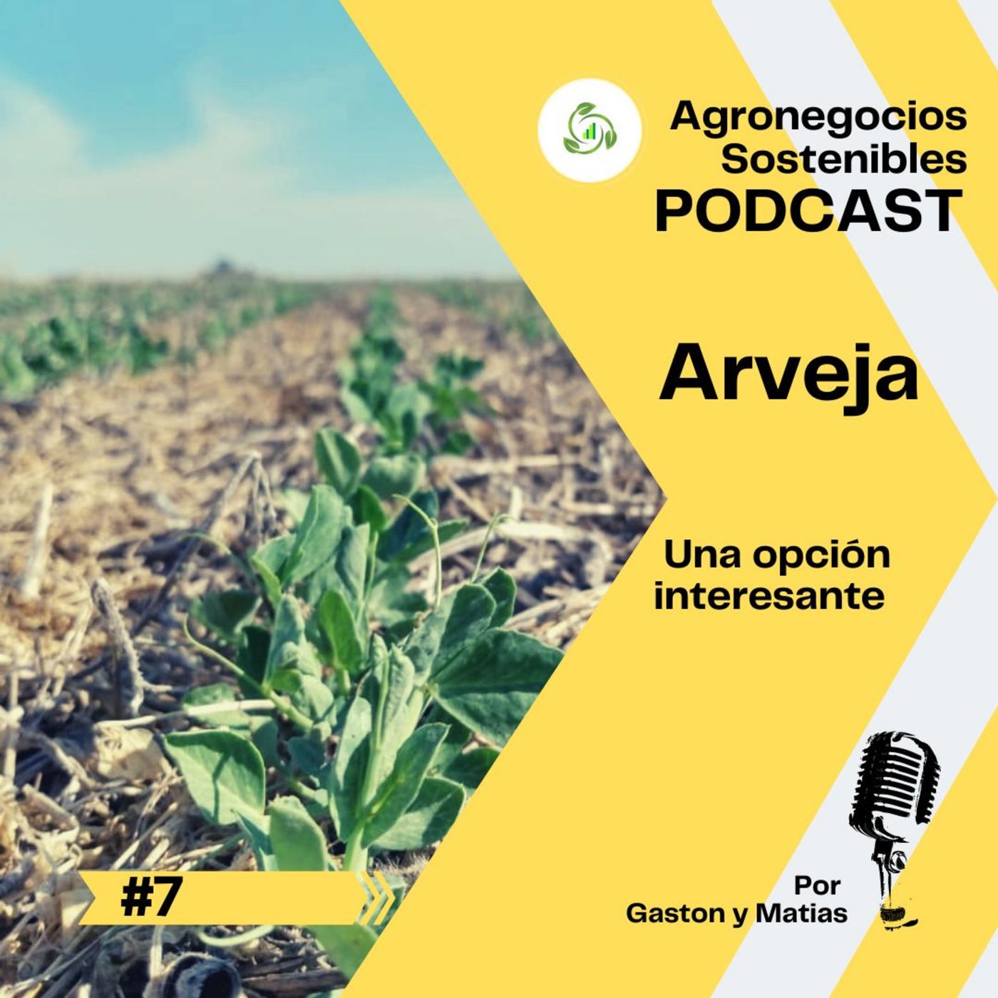 PENSANDO EL AGRO