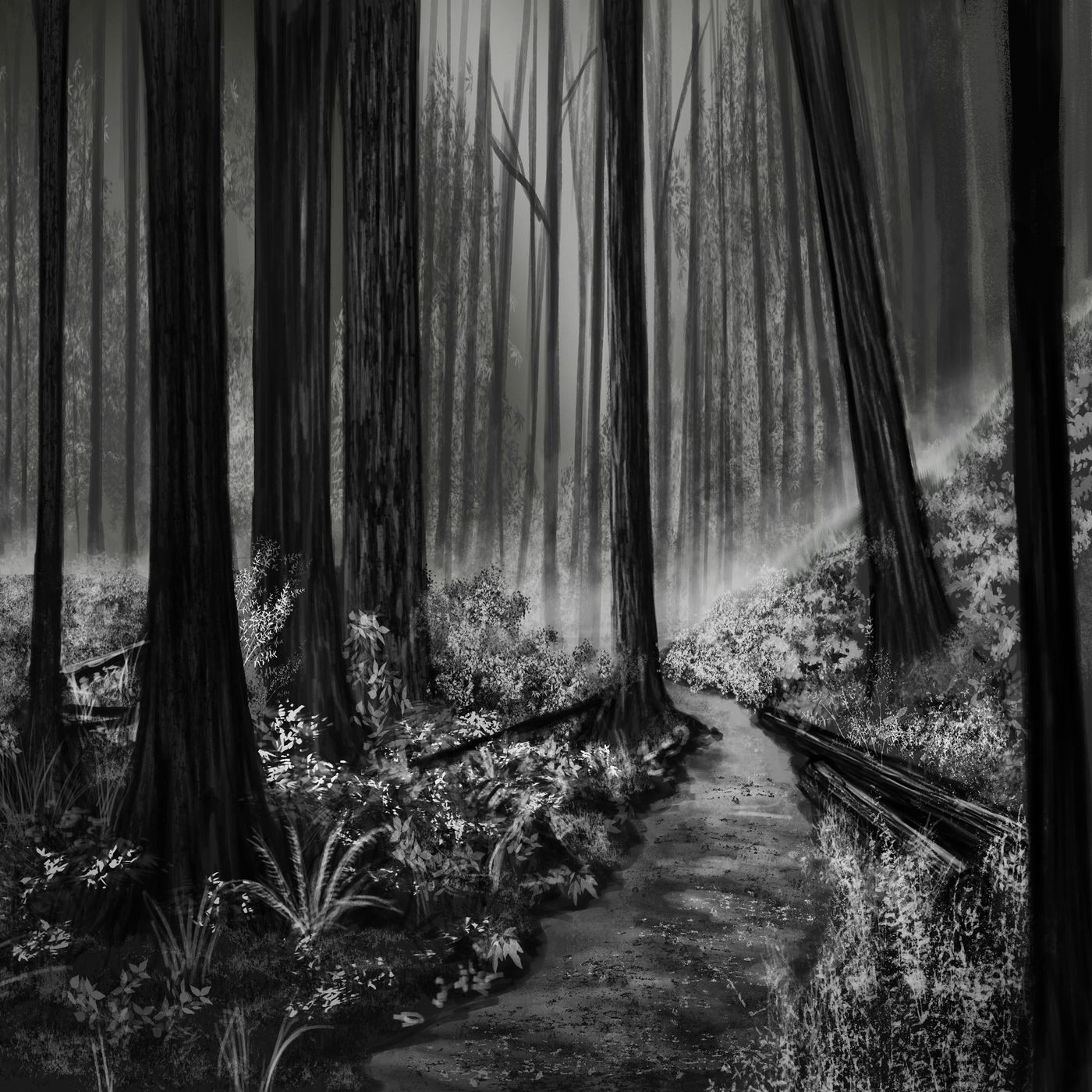 There is Something in the Woods — Bedtime Stories cover