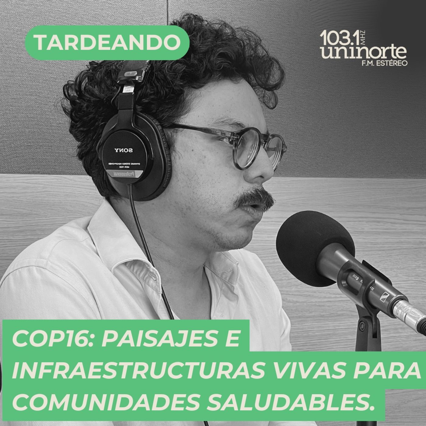 COP 16: Paisajes e infraestructuras vivas para comunidades saludables episode artwork