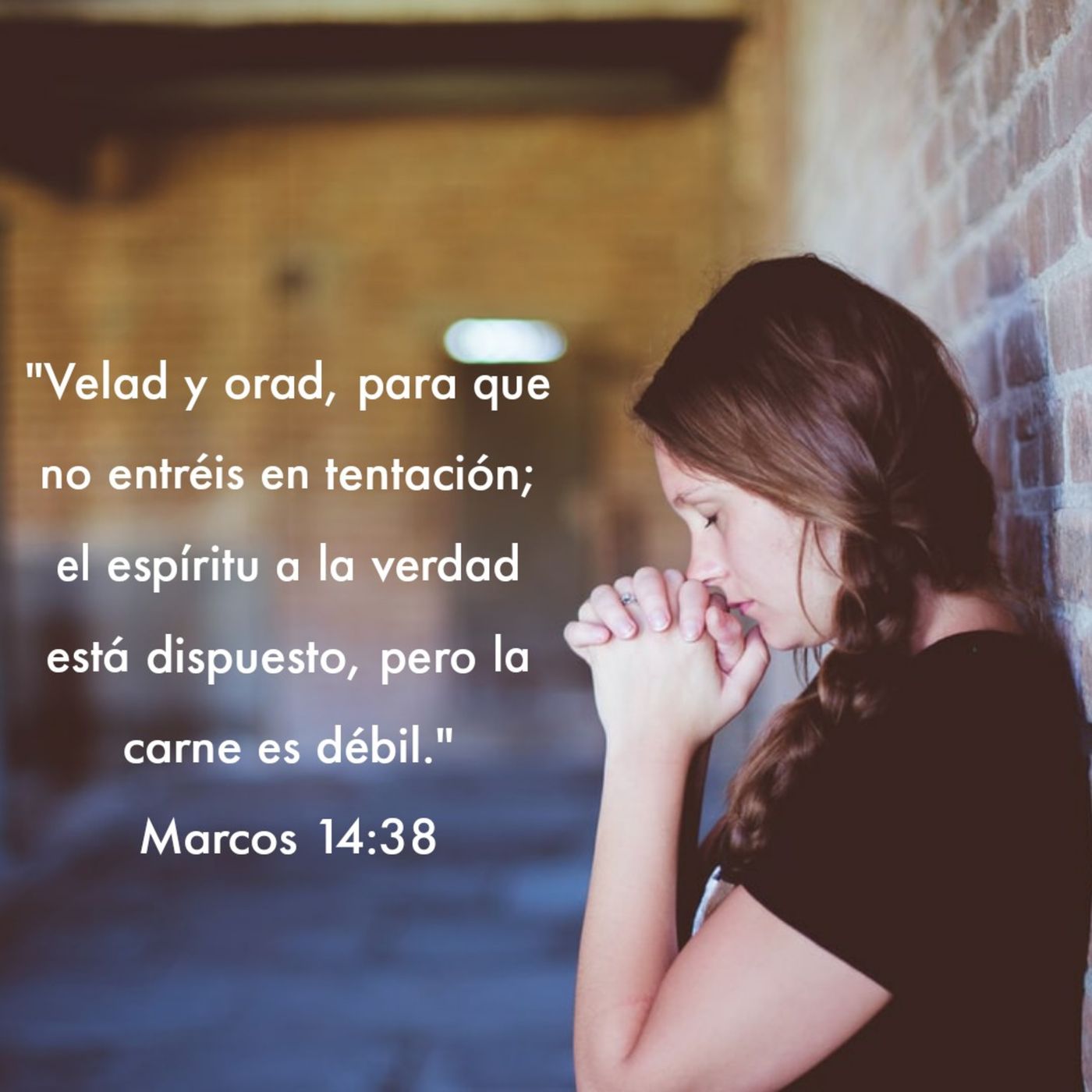 Evangelio de Marcos