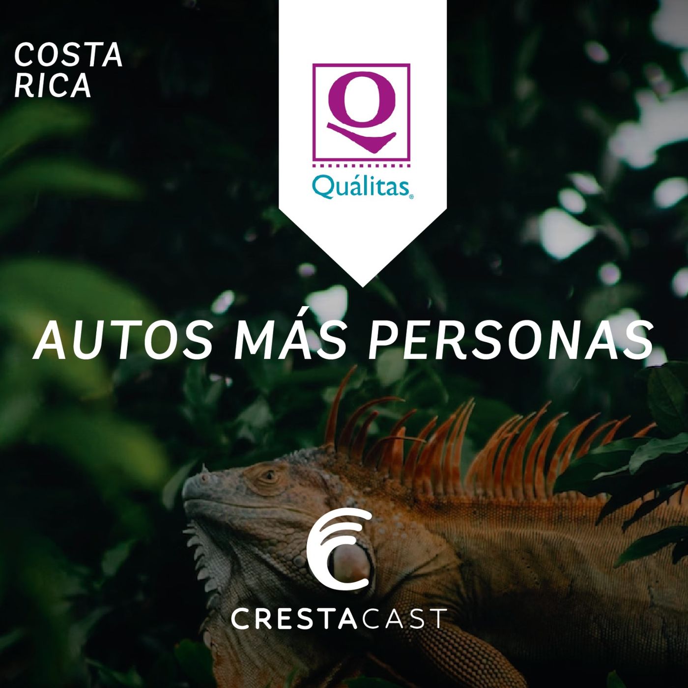 Qualitas Episodio Modelo podcast artwork