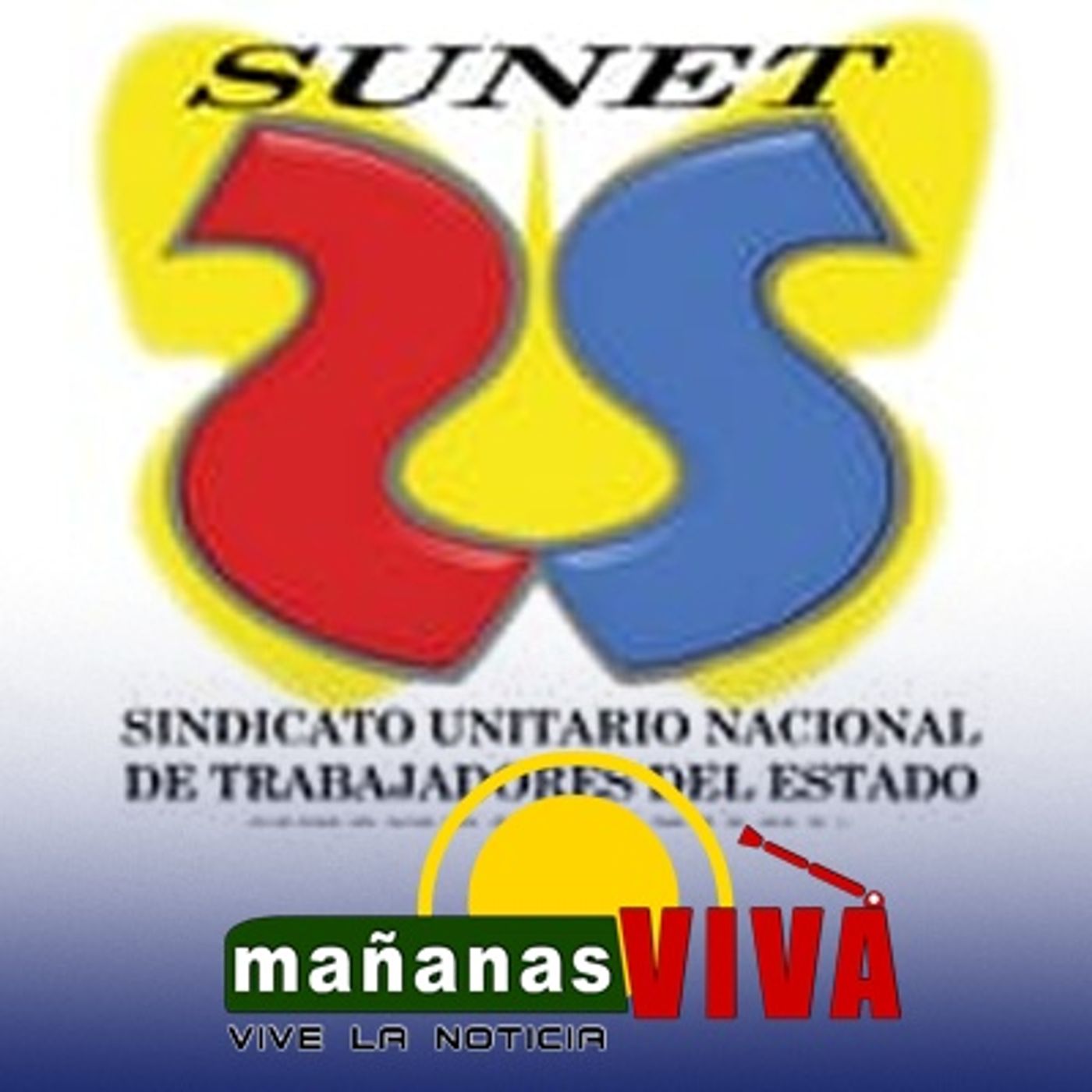 Abogada Marlyn Erazo - Acción jurídica interpuesta por SUNET por posibles irregularidades para cargos públicos en la alcaldía