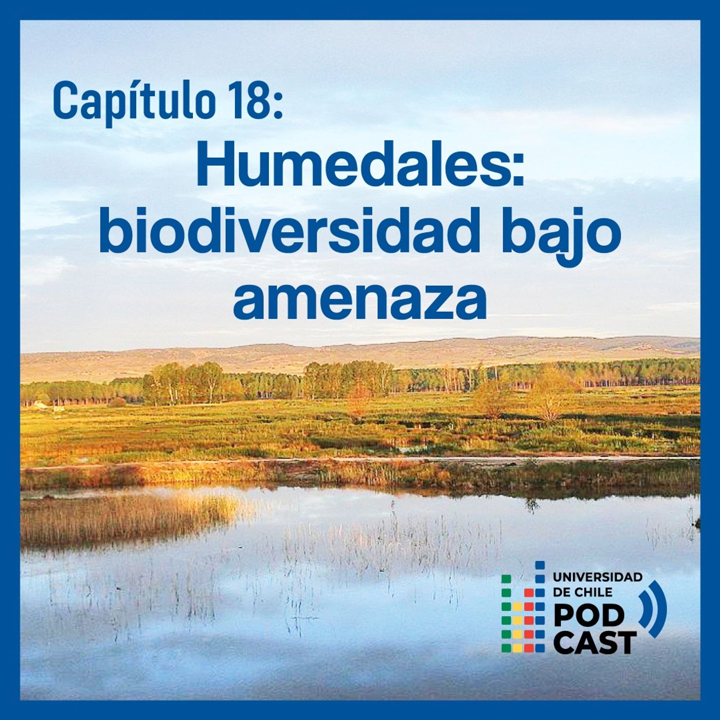 Universidad de Chile Podcast