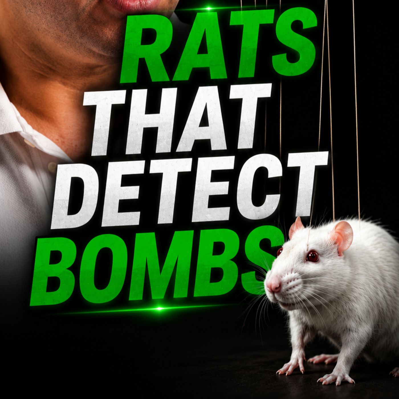 Ep 15: He Built a Company That Uses Rats to Detect Bombs and Drugs episode artwork