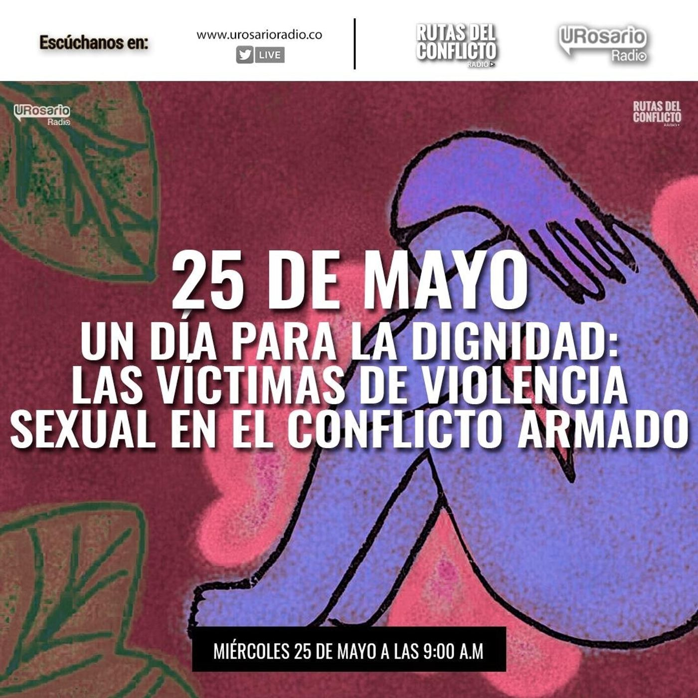 RUTAS DEL CONFLICTO RADIO