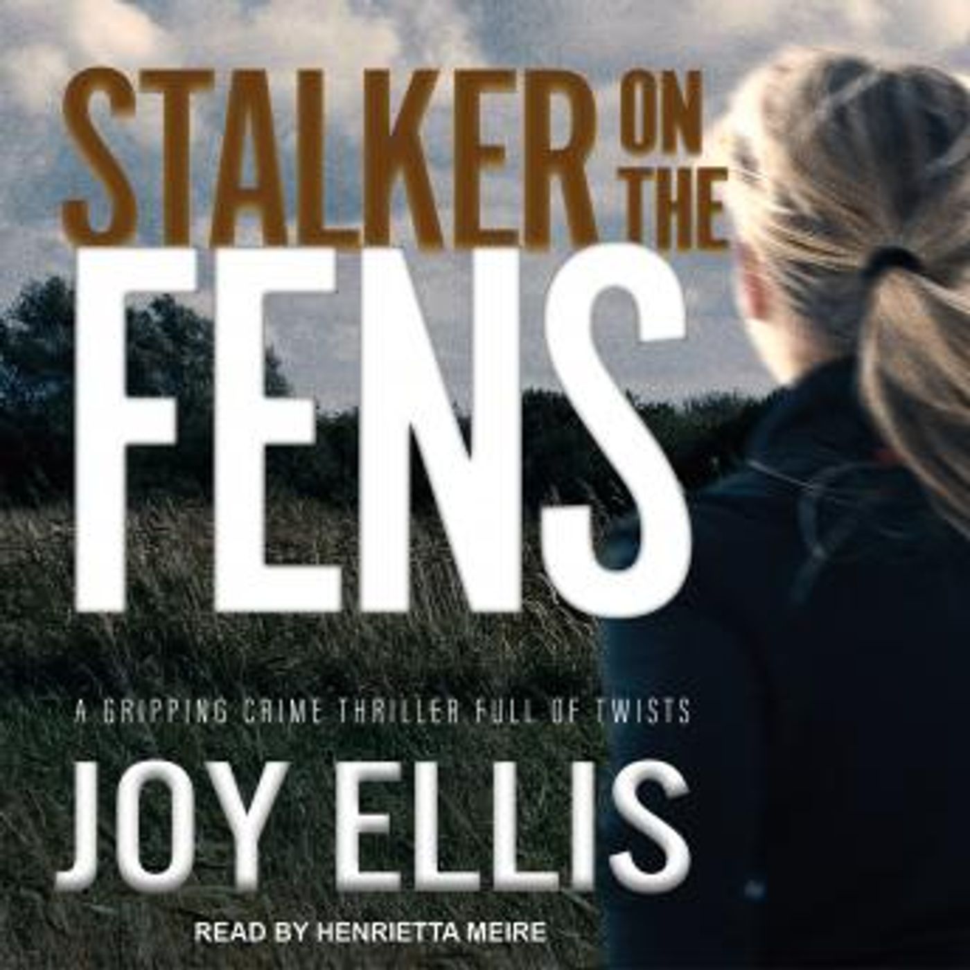 Grab the Top Full Trial Audiobooks in Mystery, Thriller & Horror, Police & Detective