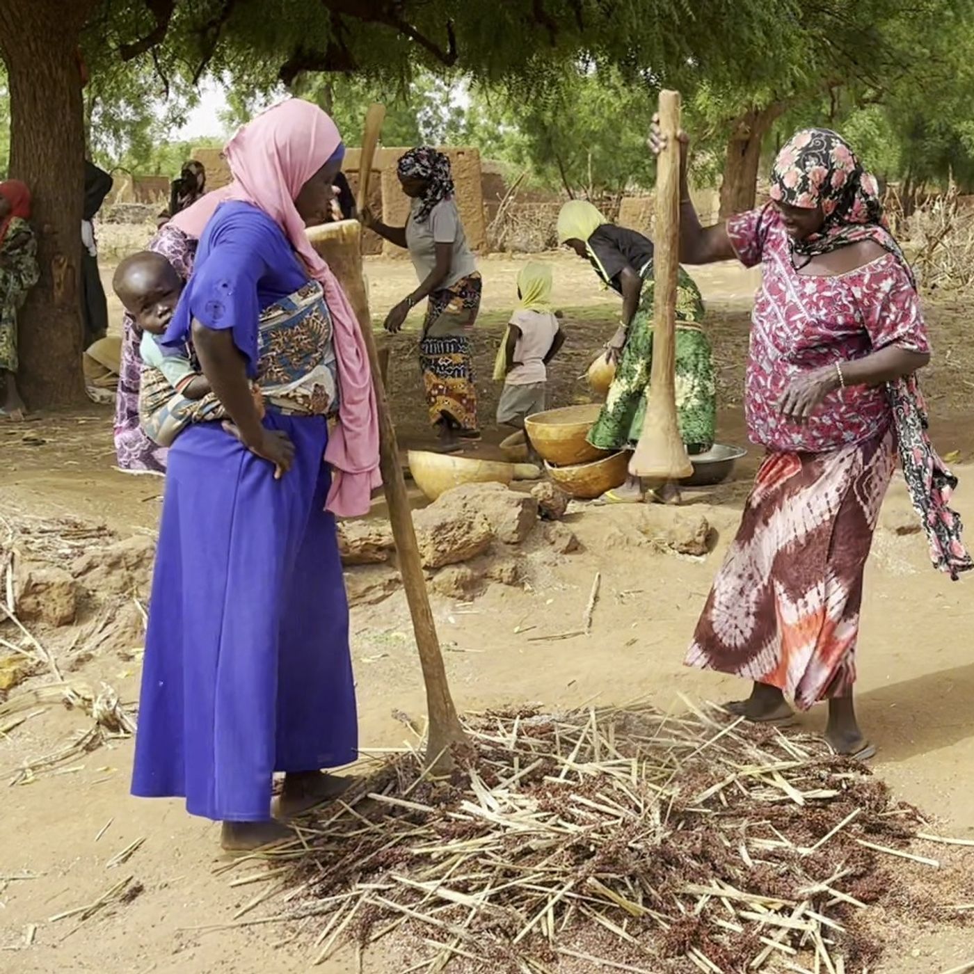 À Yama, le quotidien des femmes batteuses de mil (magazine) episode artwork