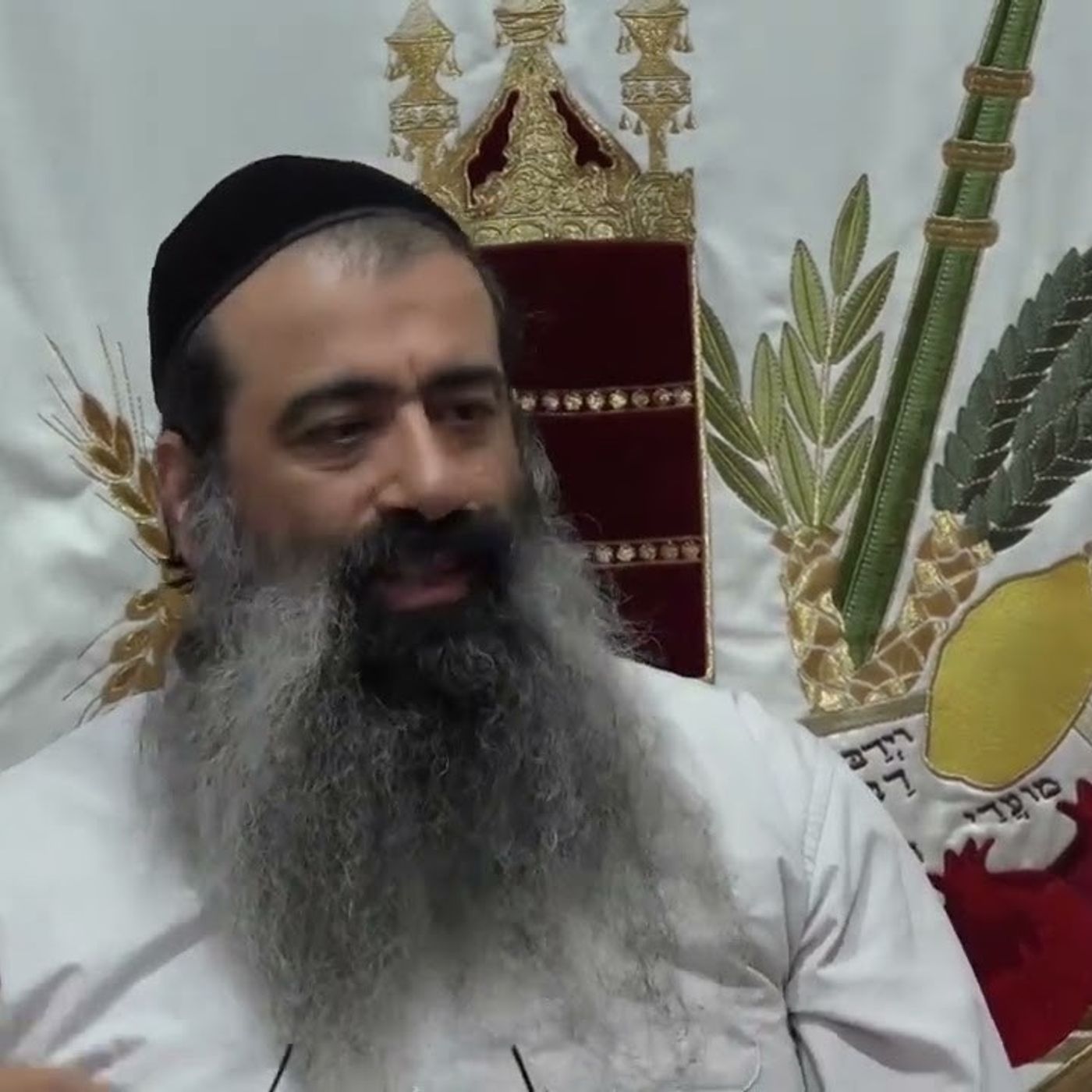 תומר דבורה שיעור 6