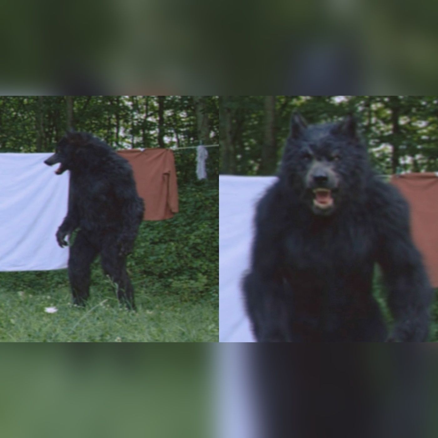 Dogman in Their Backyard… The Town Hid for 3 Nights episode artwork