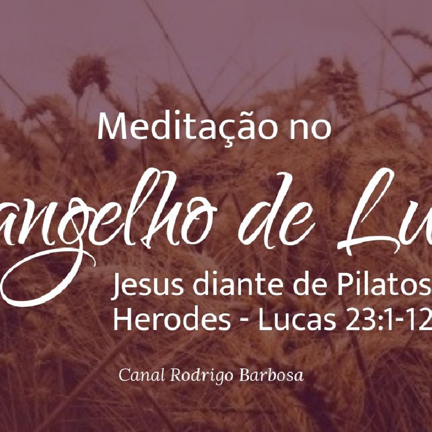 Rodrigo Barbosa