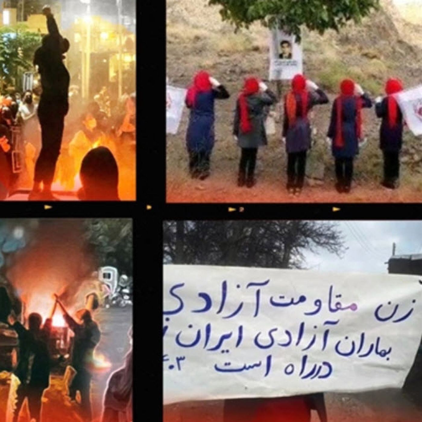 سر گاو ولایت در خمرهٔ «حجاب اجباری»