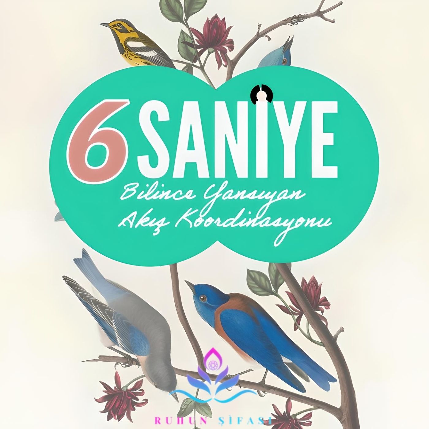 6 Saniye episode artwork