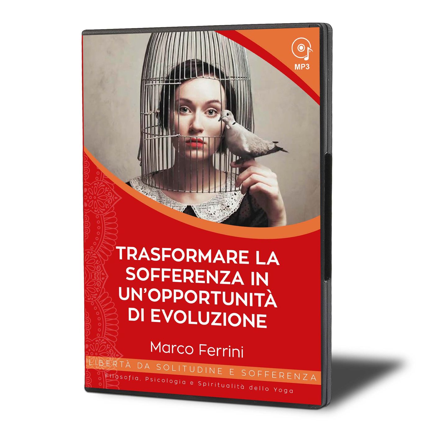 Edizioni CSB