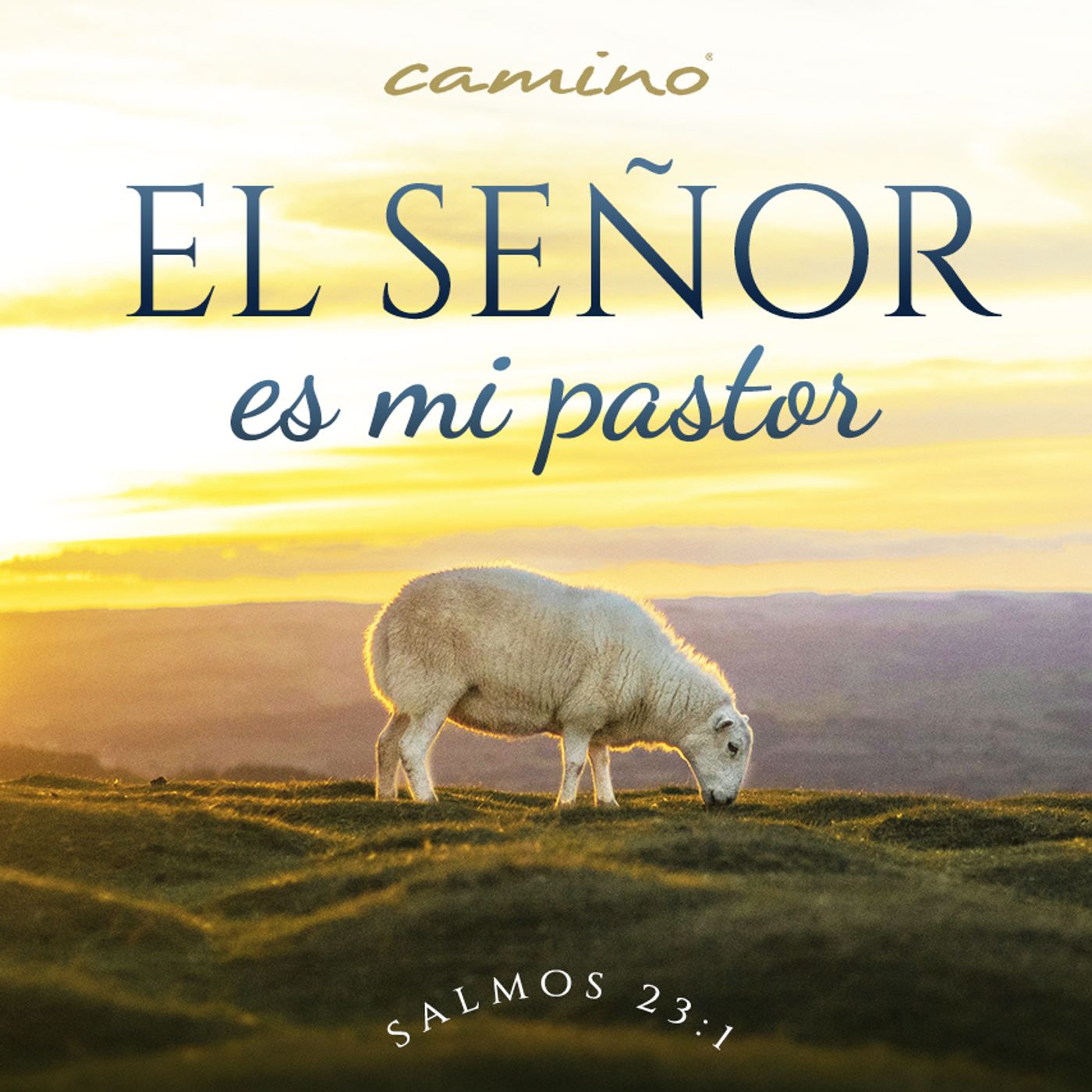 Oración 8 de mayo (El Señor es mi pastor) episode artwork
