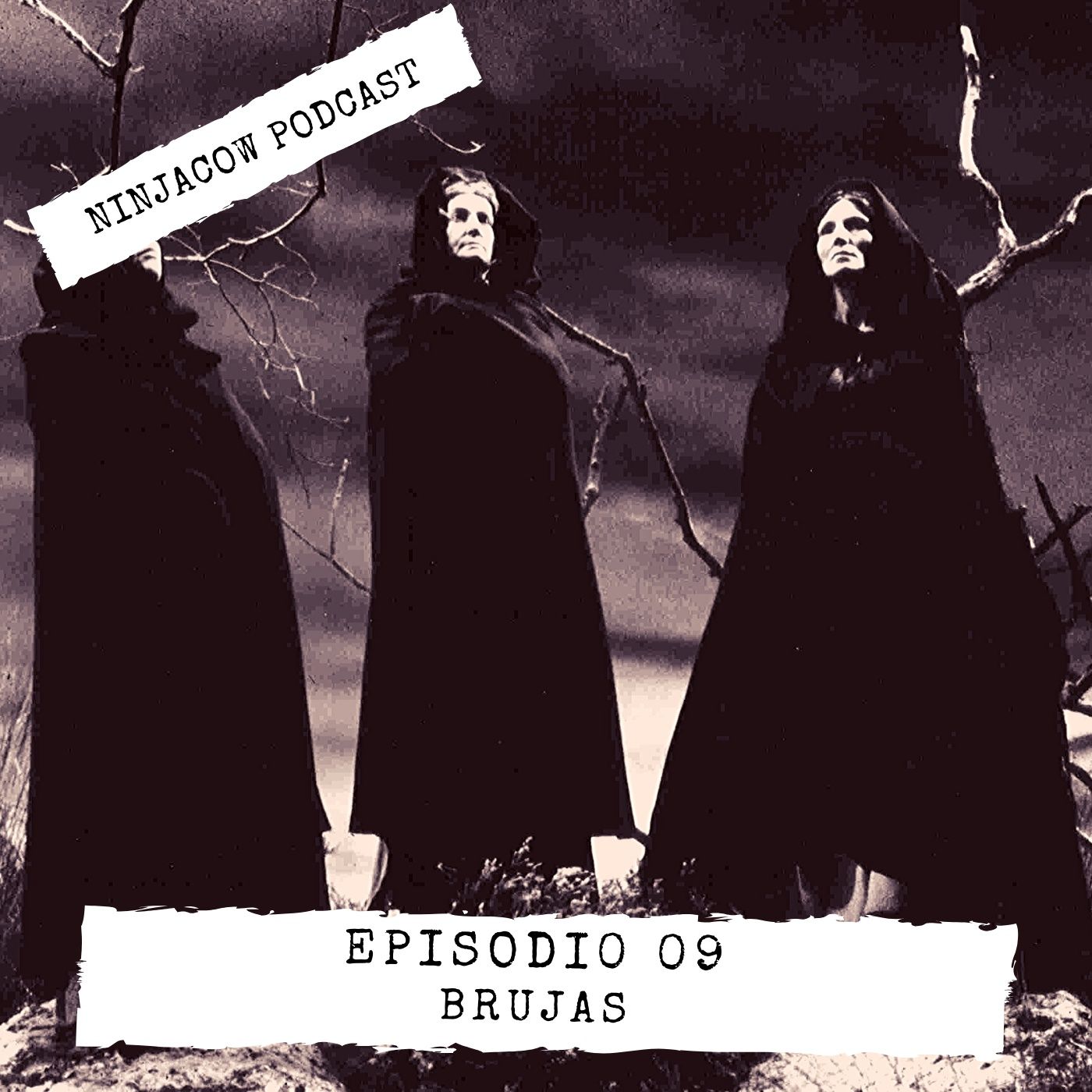 Ninjacow Podcast
