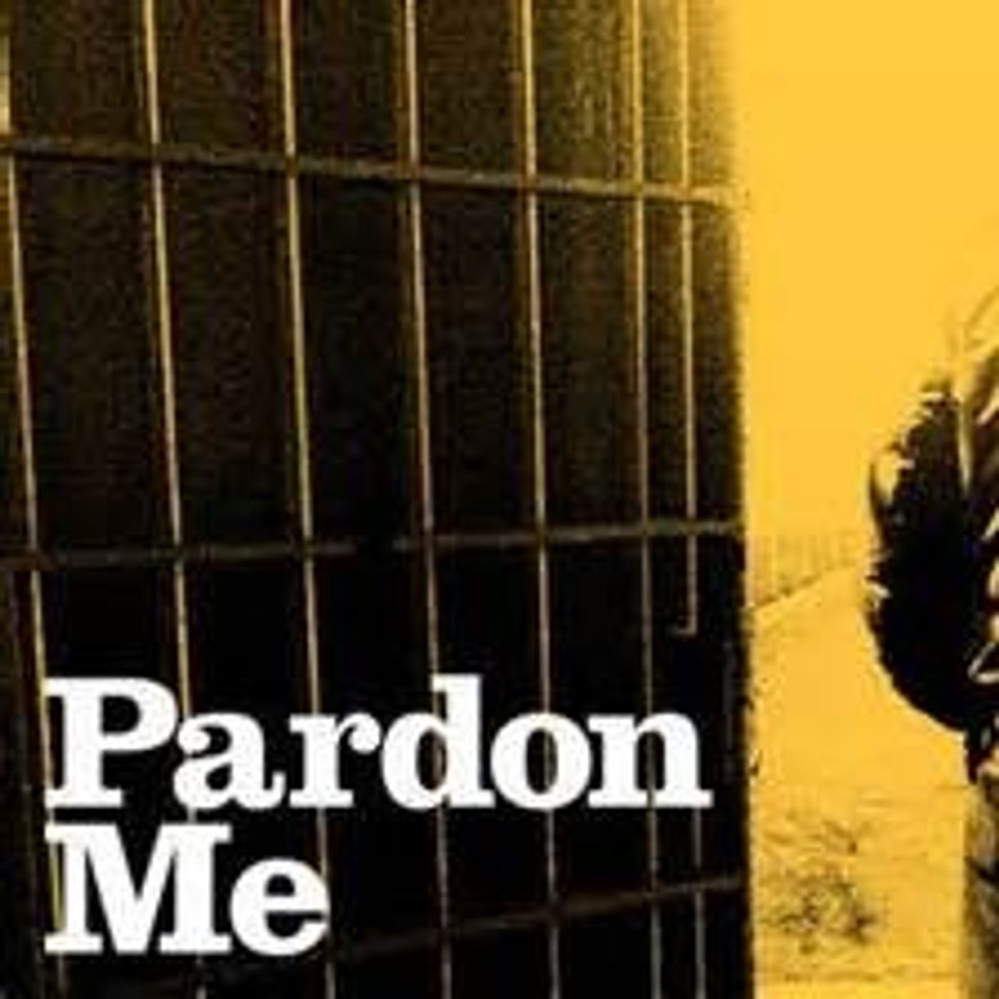 Pardon Me? Please!!!!! episode artwork