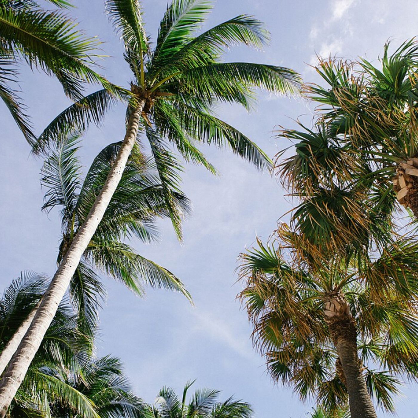 Le news di Re Soil Foundation