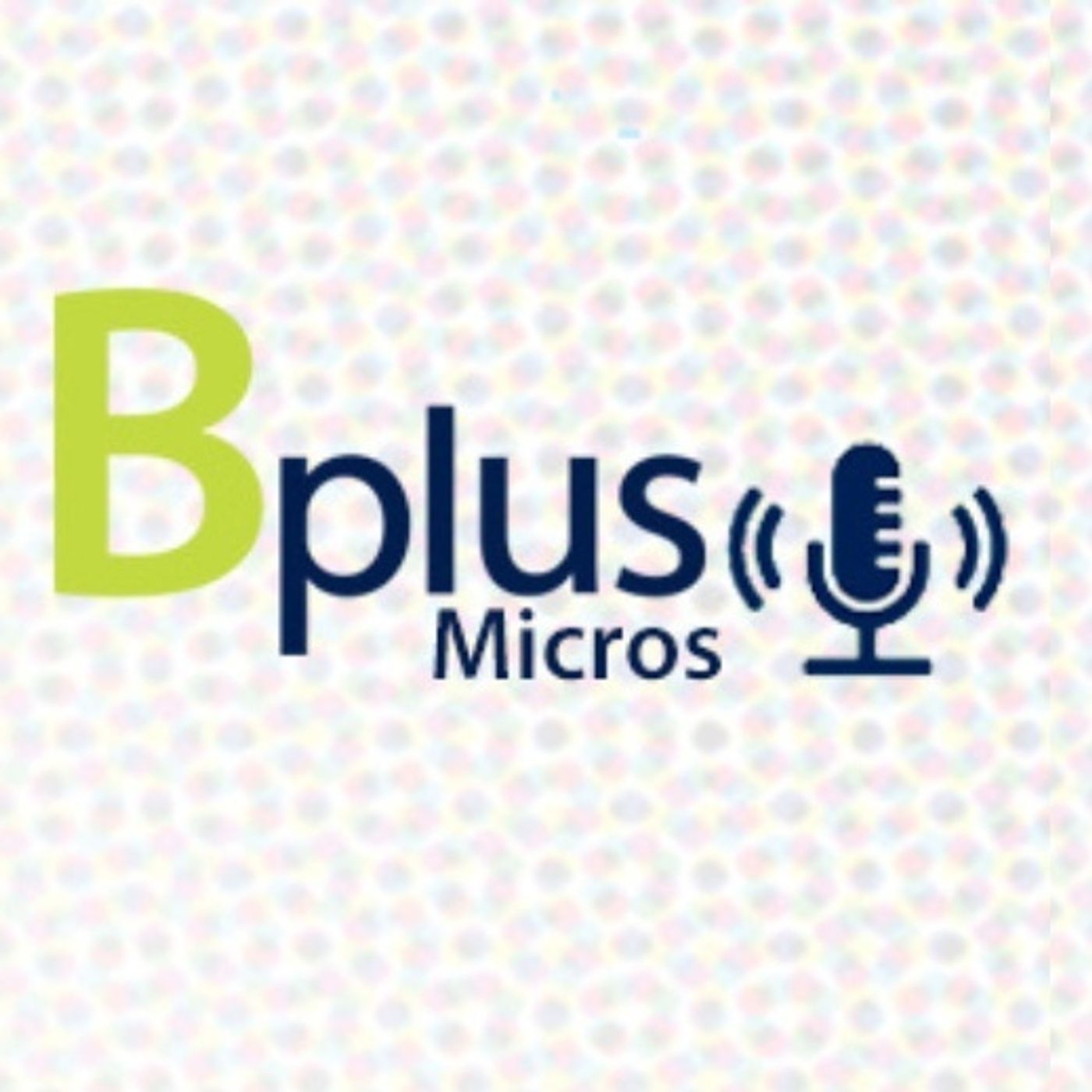 Micros Financieros Bplus