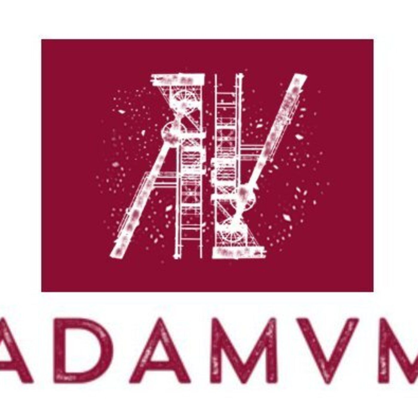 Vendredi 13 février après-midi : Association ADAMVM