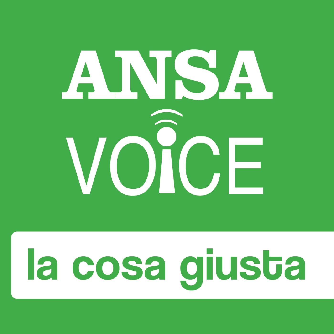 ANSA Voice la cosa giusta