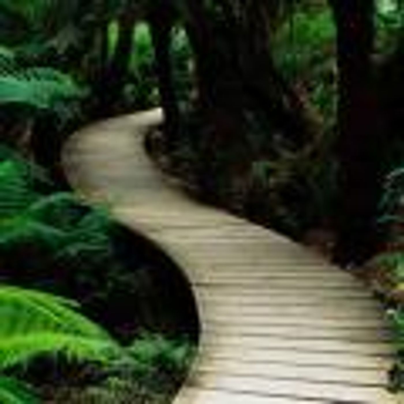 Mastering Your Path