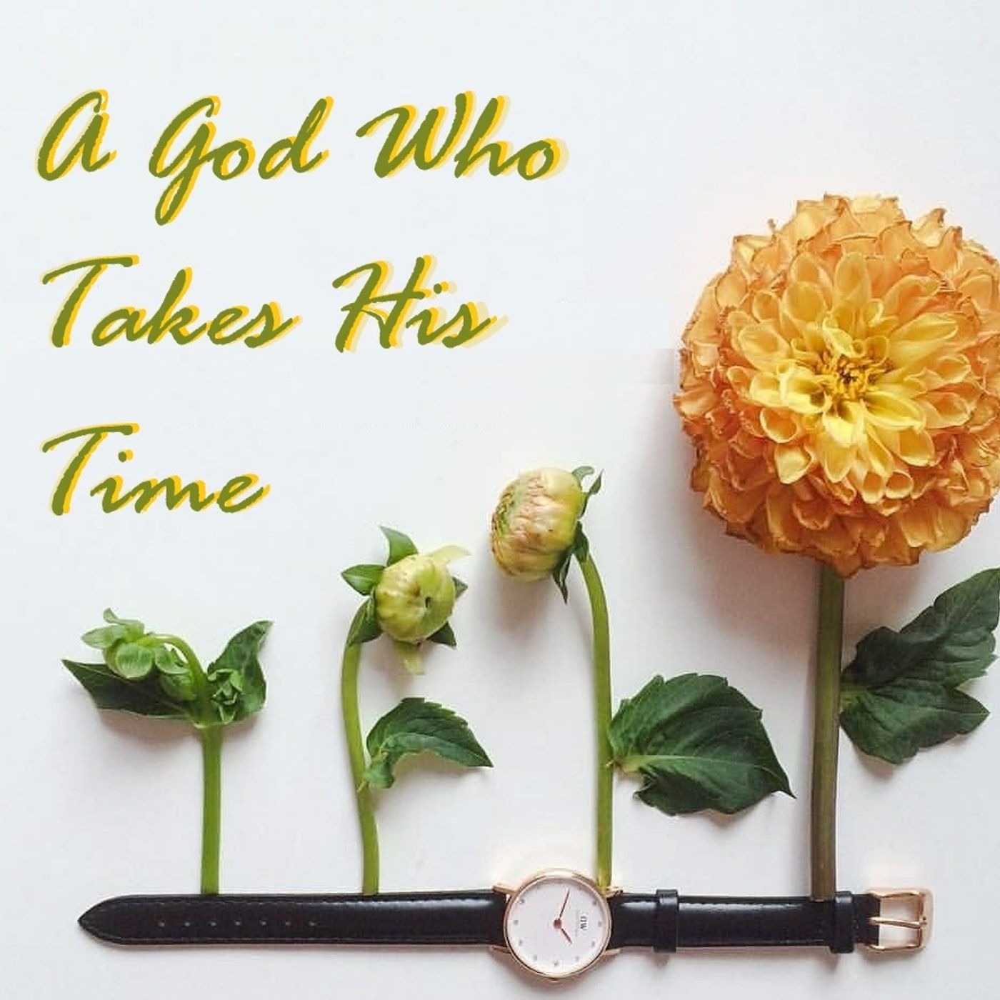 08/03/2025 Sun Am Pastor Jeff Crawley A God That Takes His Time episode artwork