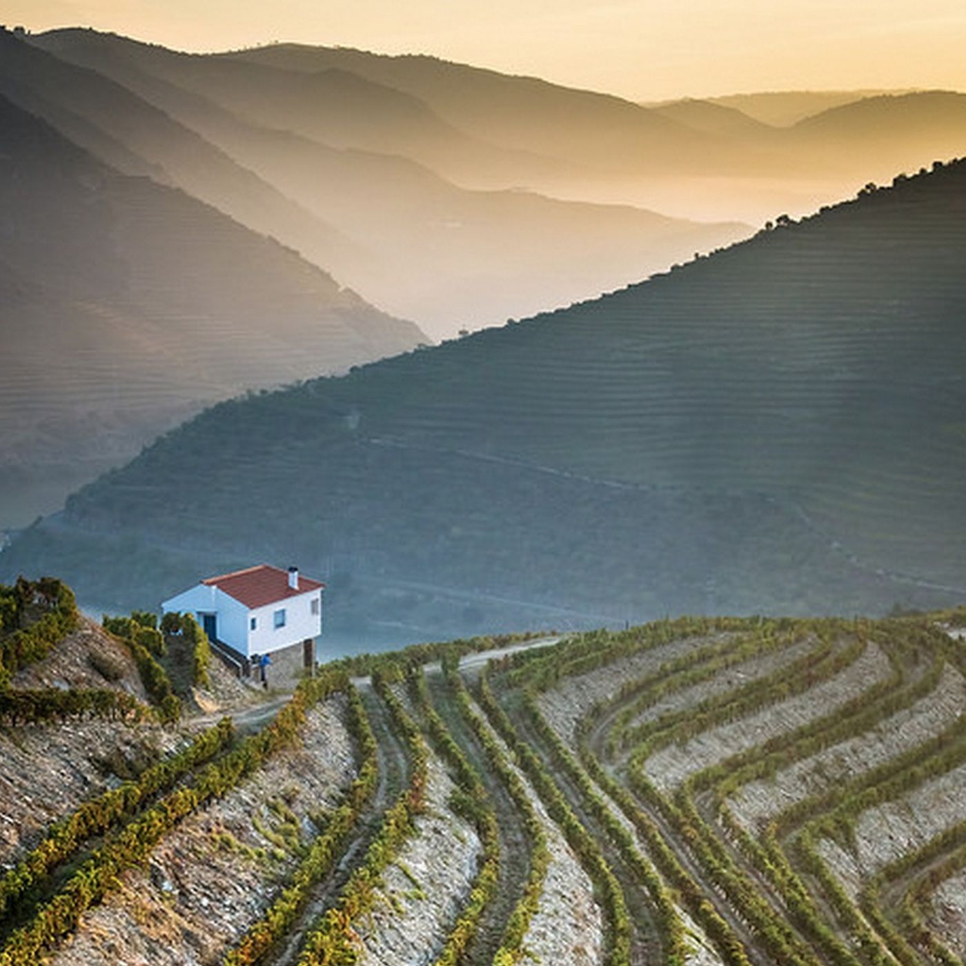 Food, Drink, and Travel