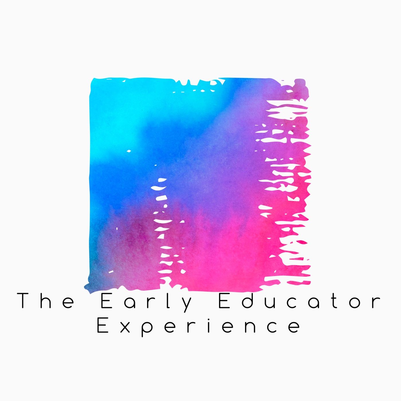 The Early Educator Experience