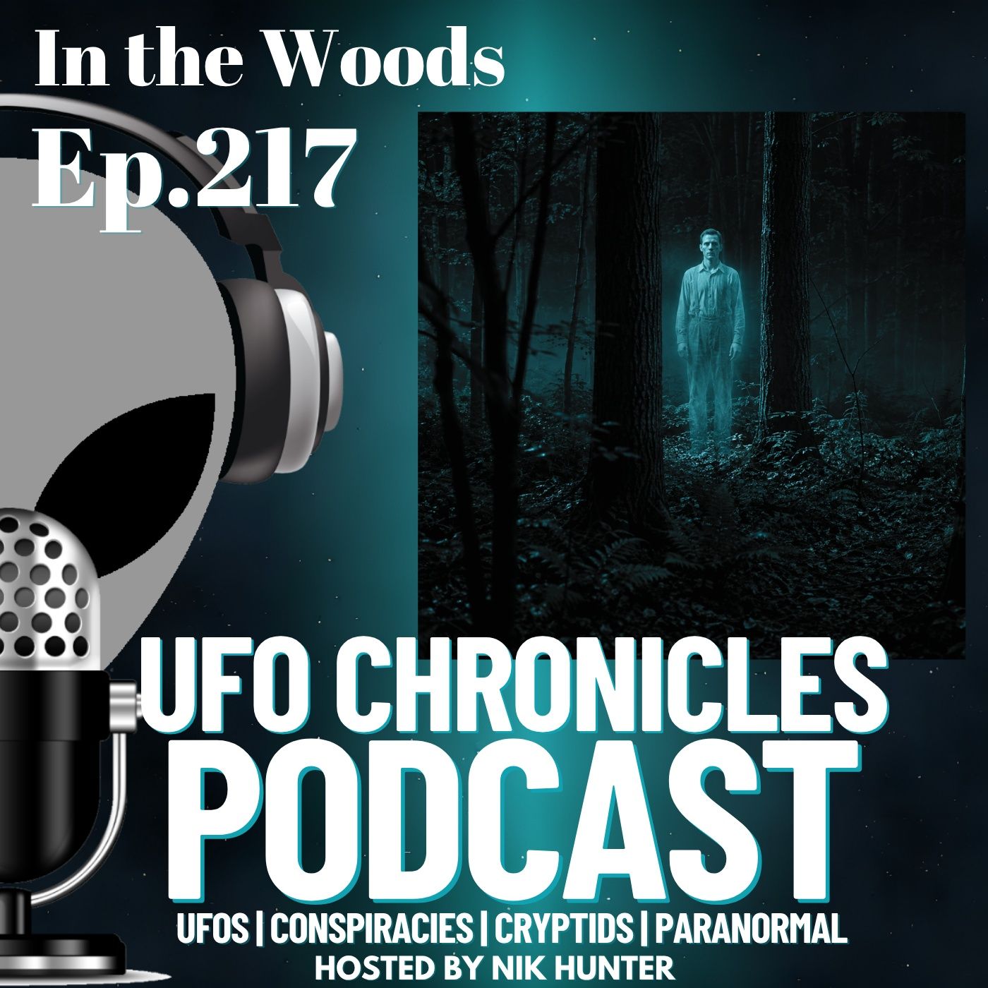 Ep.217 In the Woods episode artwork