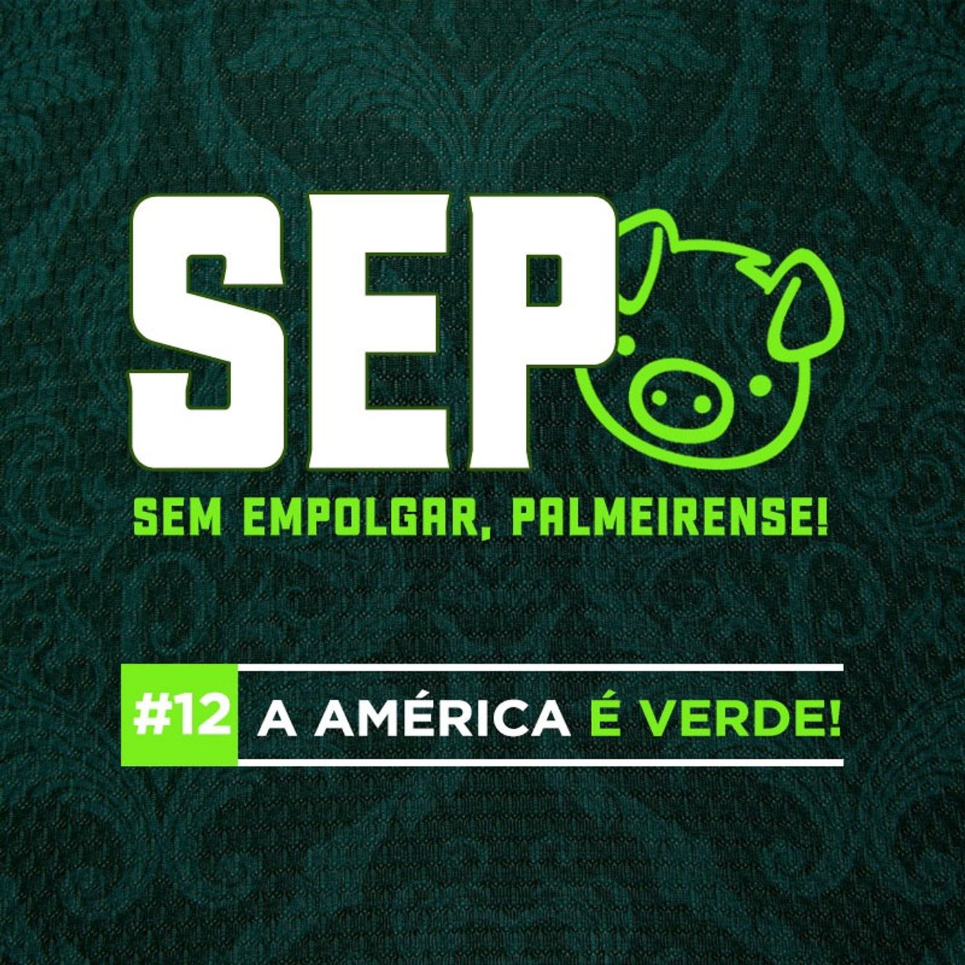 Sem Empolgar, Palmeirense!