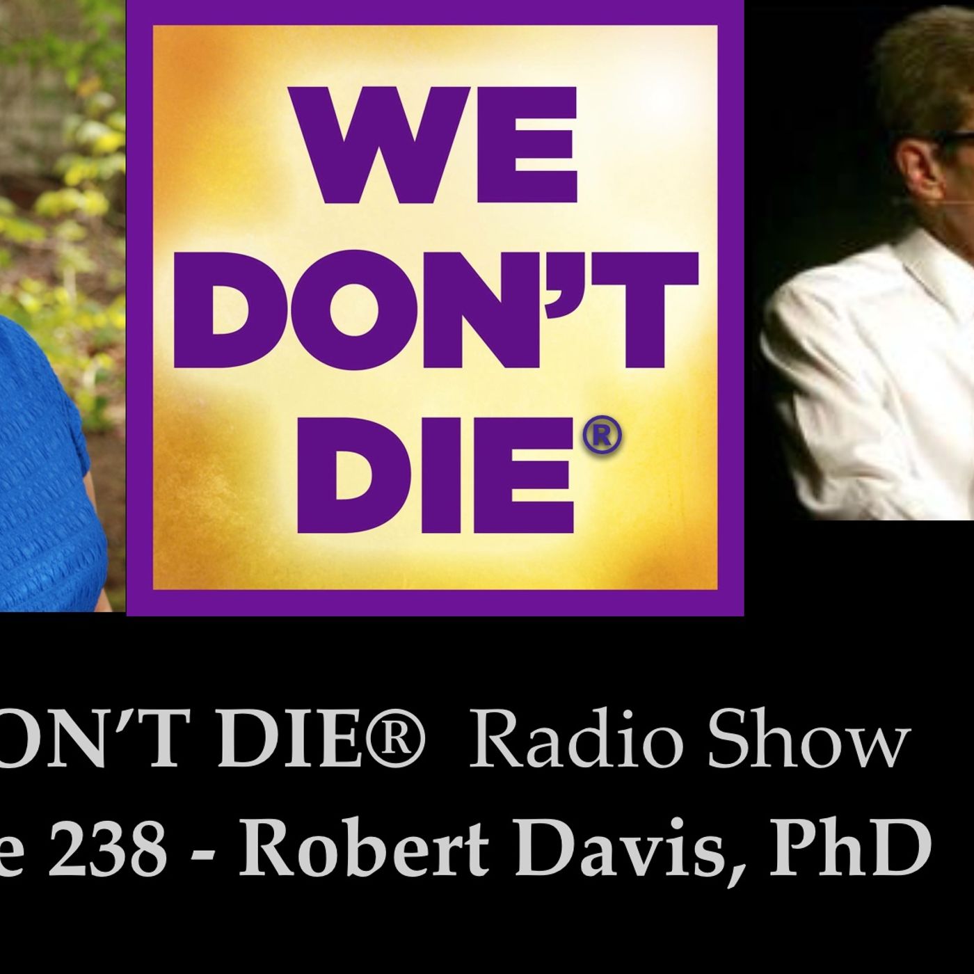 238  Robert Davis, PhD - A Scientist's Analysis of Life After Death episode artwork