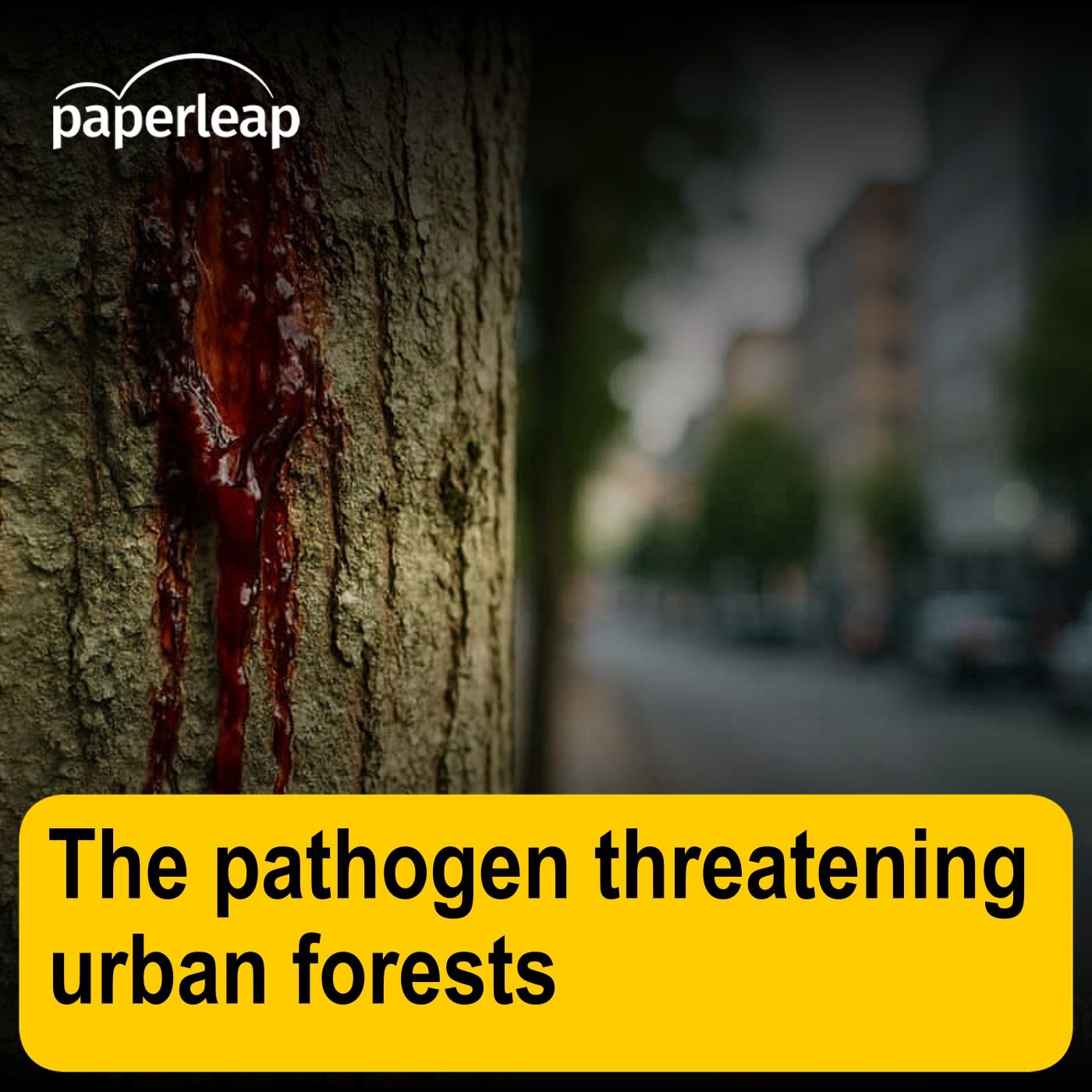 The pathogen threatening urban forests