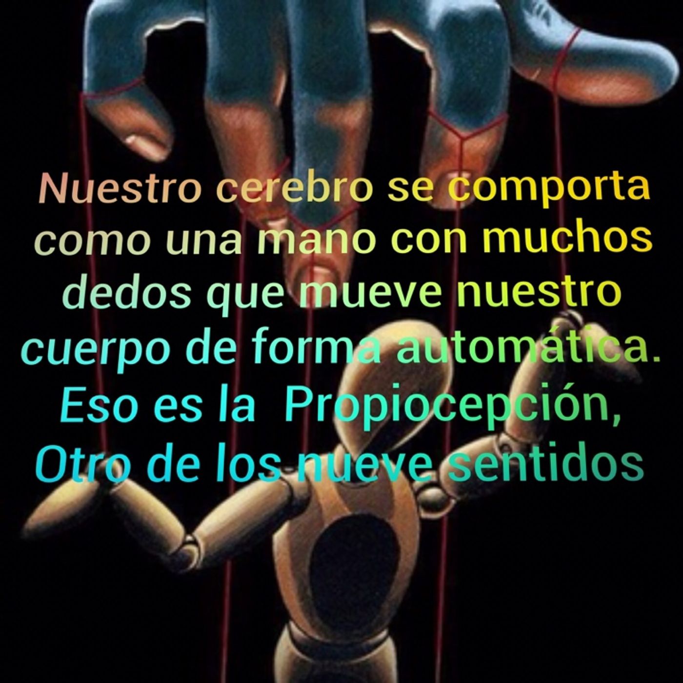 Equilibrio Vital con Anand Mahapatra