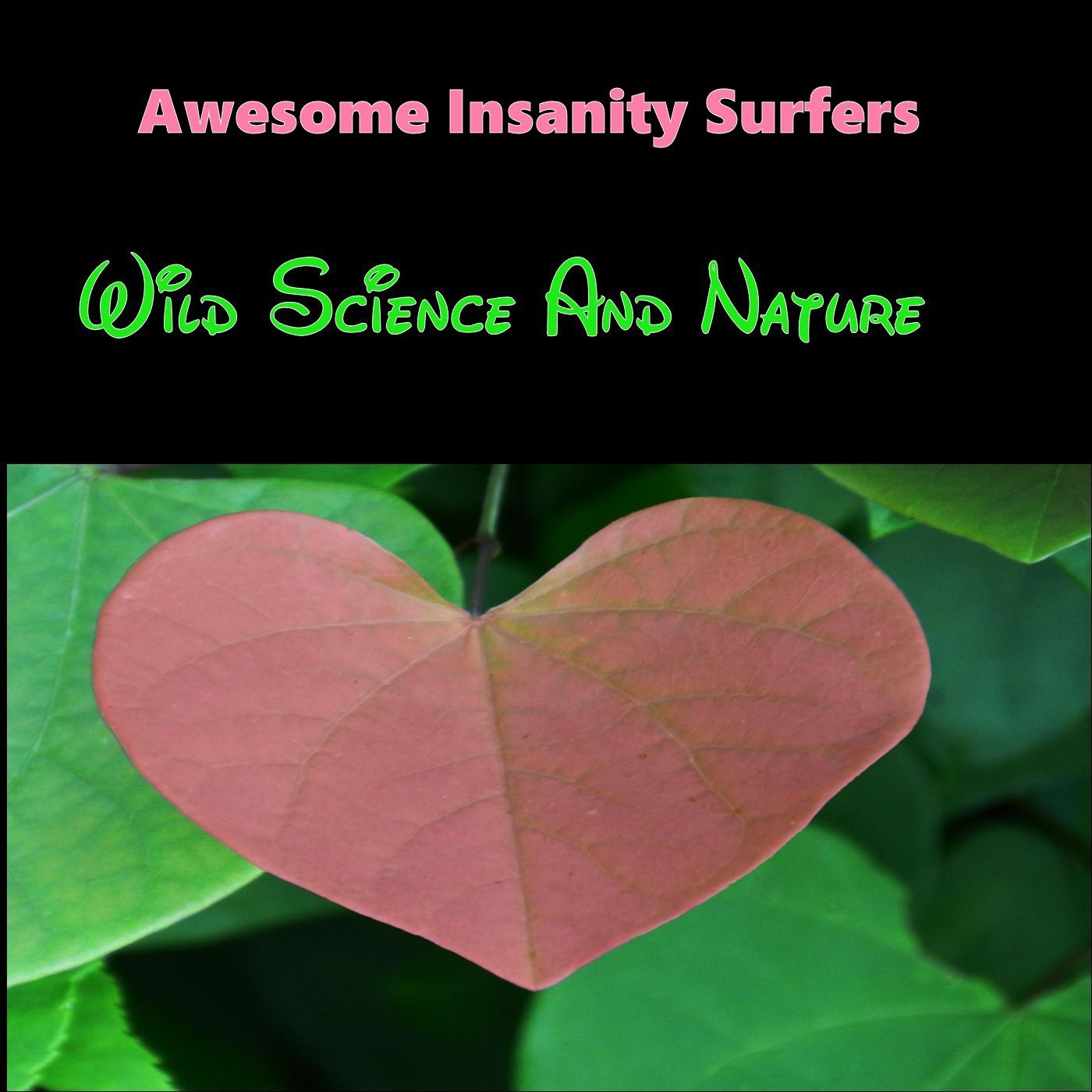 Wild Science And Nature