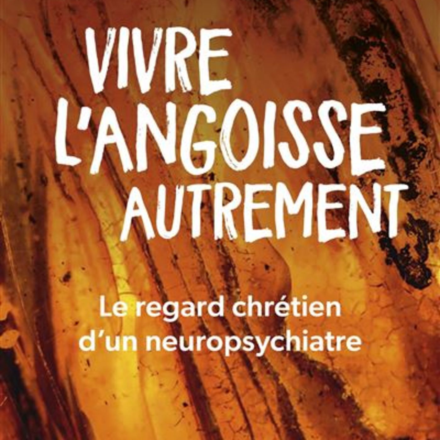 Vivre l’angoisse autrement / Louis MASQUIN