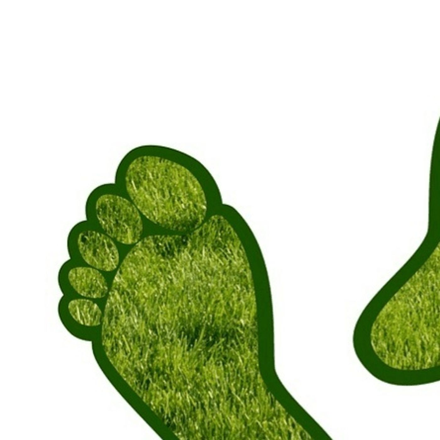 La Huella Ambiental: Conociendo sus Tres Dimensiones Claves podcast artwork