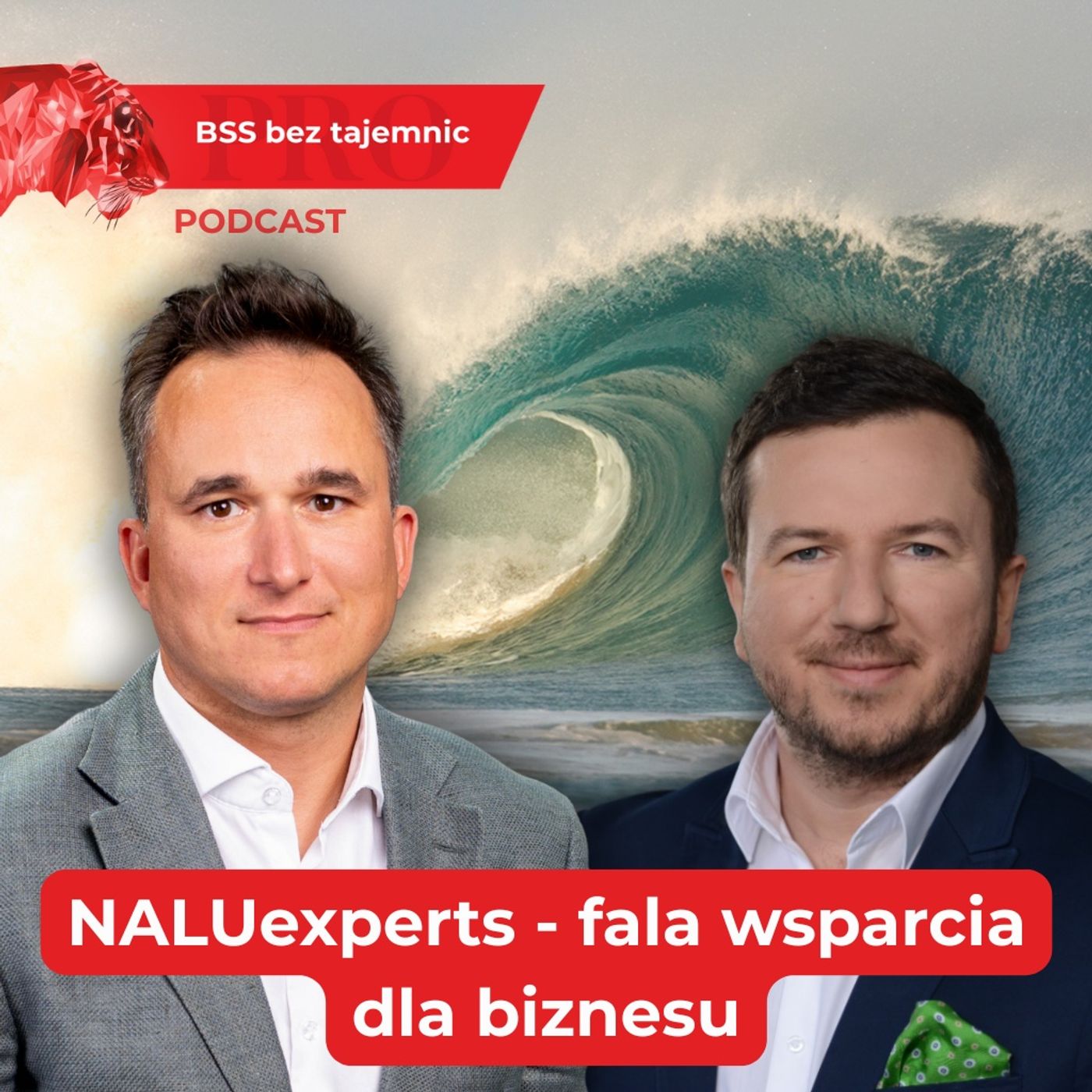 Jak wspierać liderów w centrach usług wspólnych? Rozmowa z NALUexperts Jak wspierać liderów w centrach usług wspólnych? Rozmowa z NALUexperts