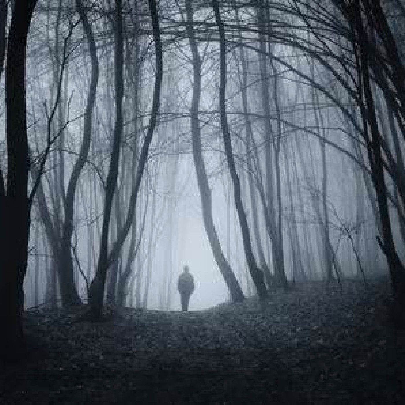 Cristian David Díaz Quintero