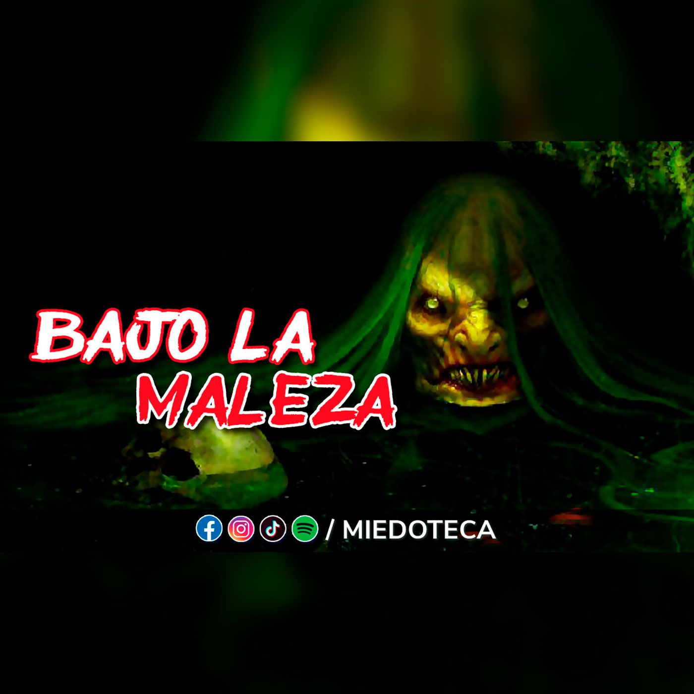 Miedoteca
