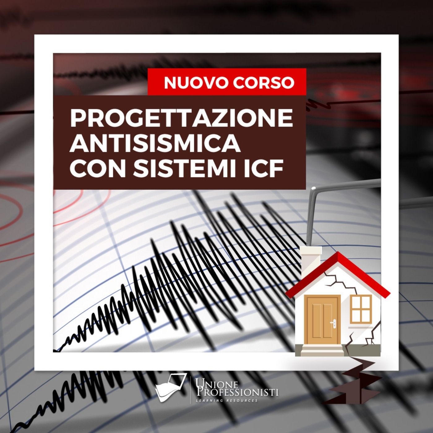 Progettazione antisismica sistemi ICF