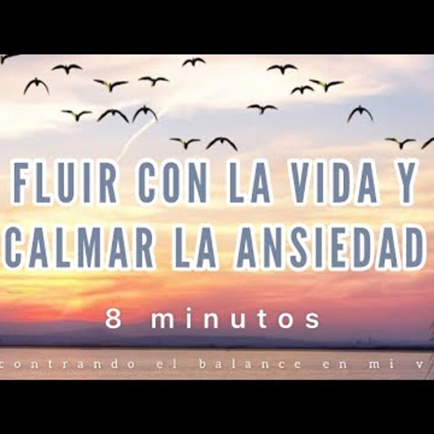 19. Meditación guiada FLUIR CON LA VIDA Y CALMAR LA ANSIEDAD 🍃 - Mindfulness