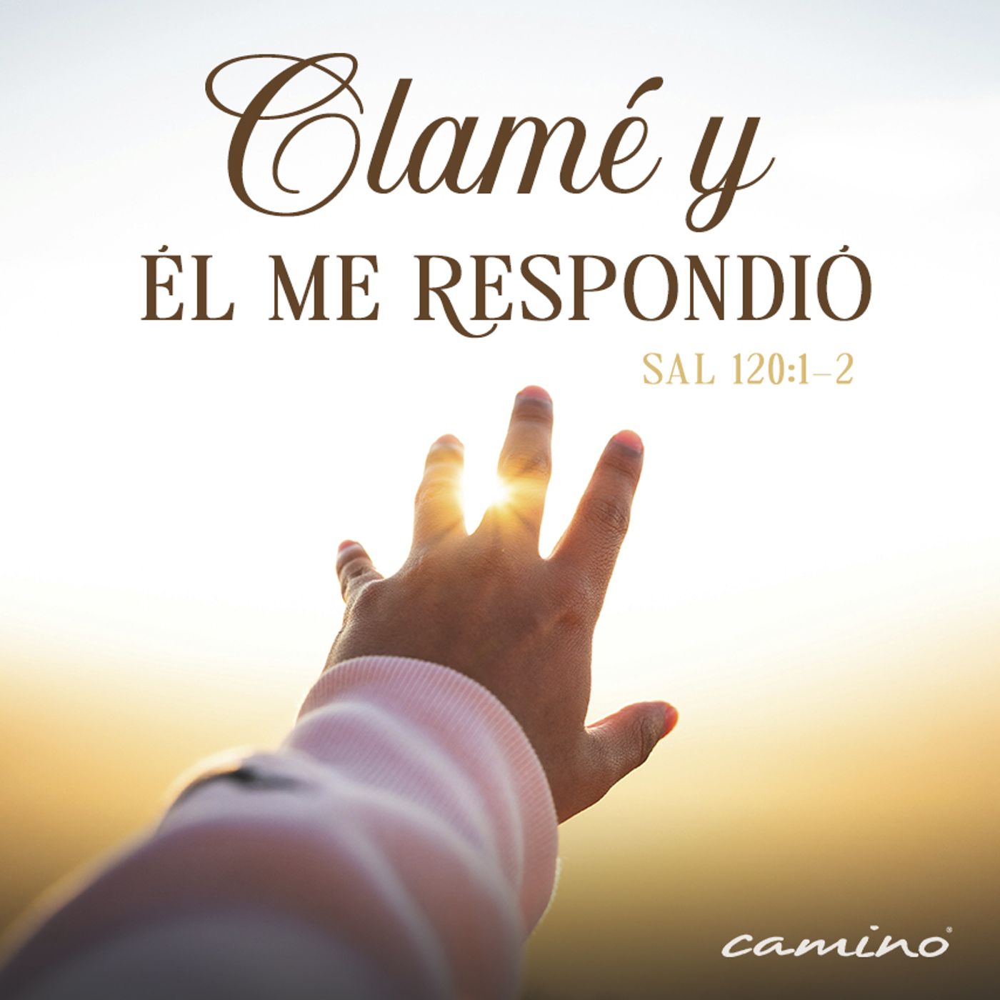 Oración 19 de febrero (Clamé y él me respondió) episode artwork