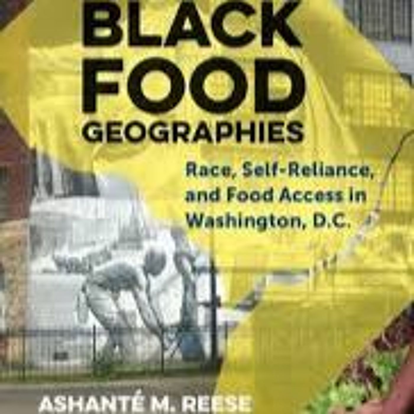 Thinking thru Black Geographies Food Memories Of Resistance & Land w/ Ashanté M. Reese