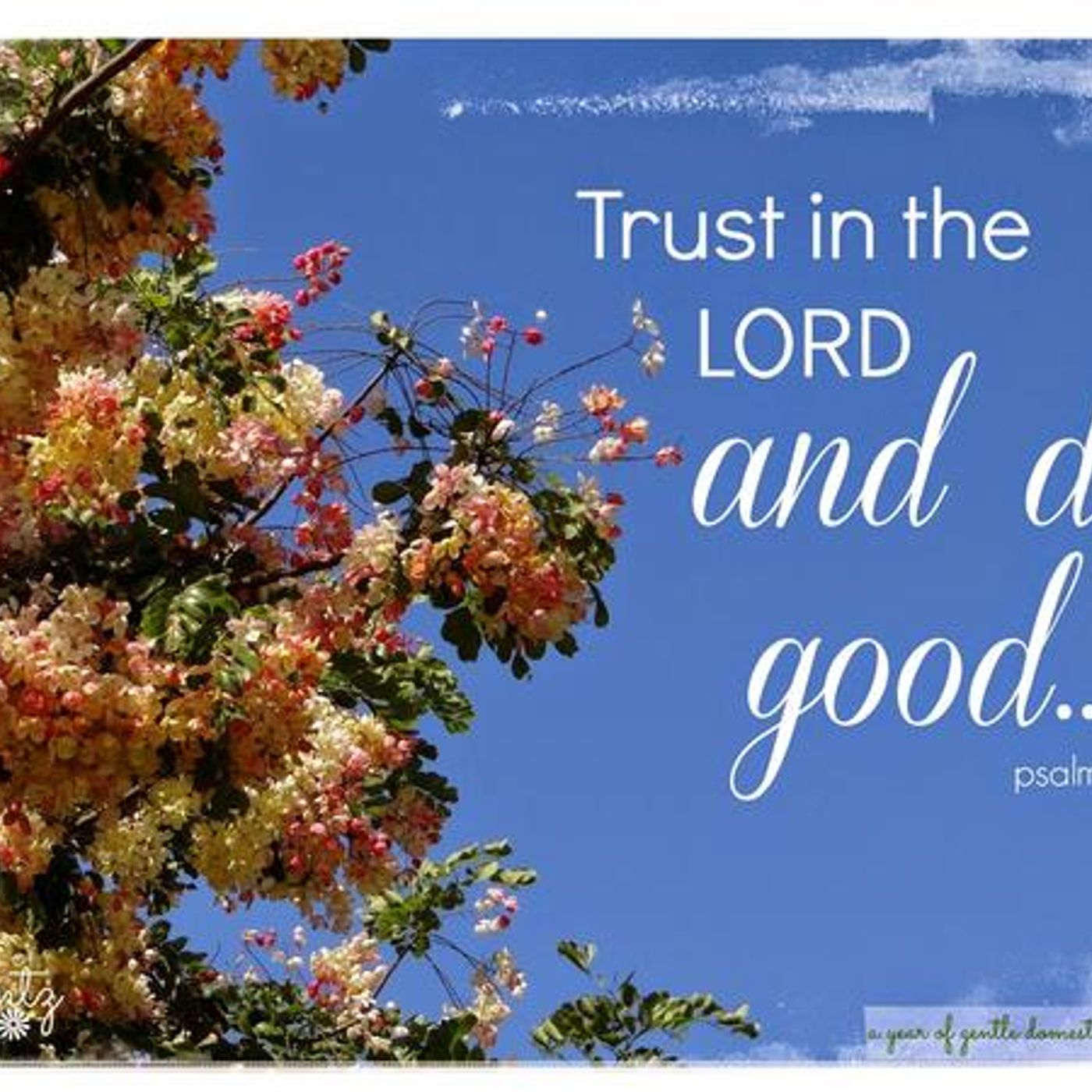 Trusting God And Doing Good In 2023 (Part 4) Psalm 37:3 - S6 [B313] episode artwork