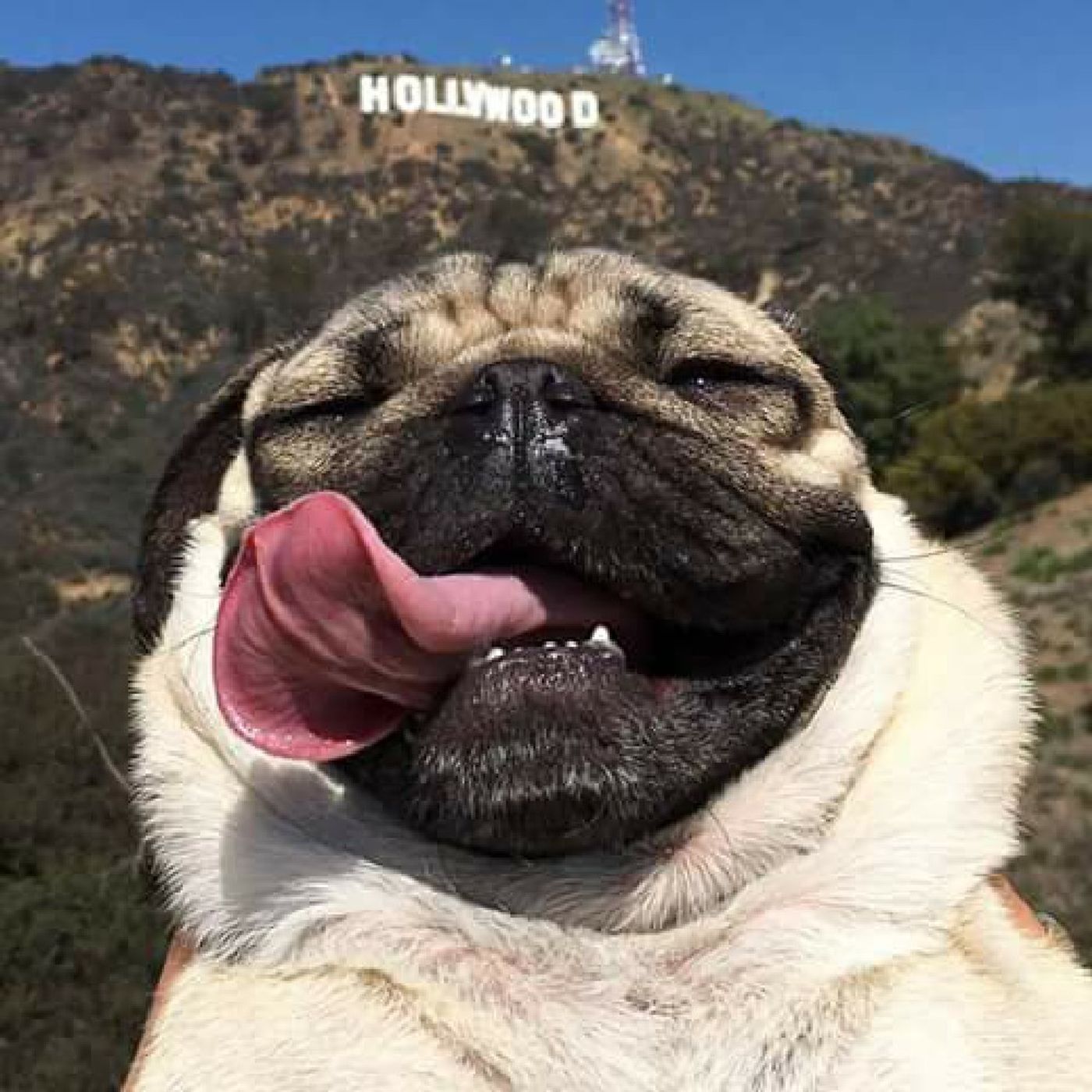 Curiosidades, Video juegos,Y Música