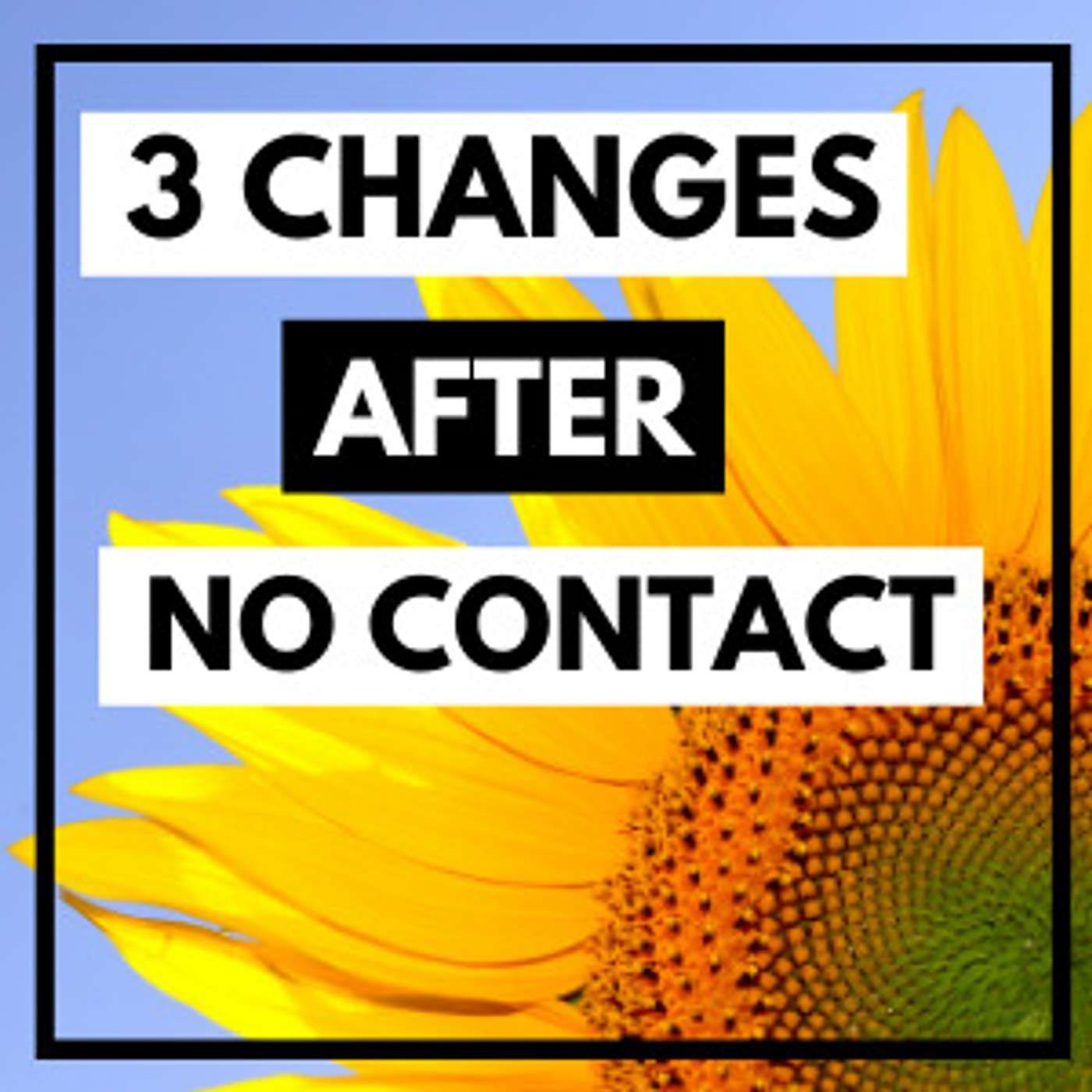 Narcissistic Abuse Recovery Podcast