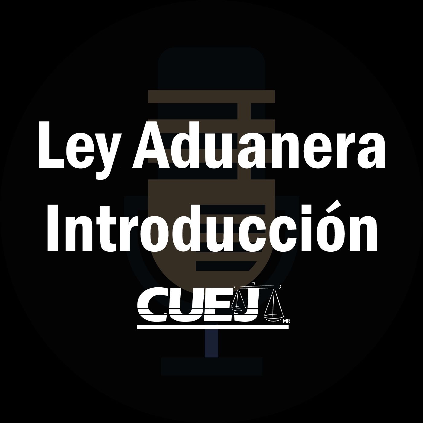 Audio Ley Aduanera