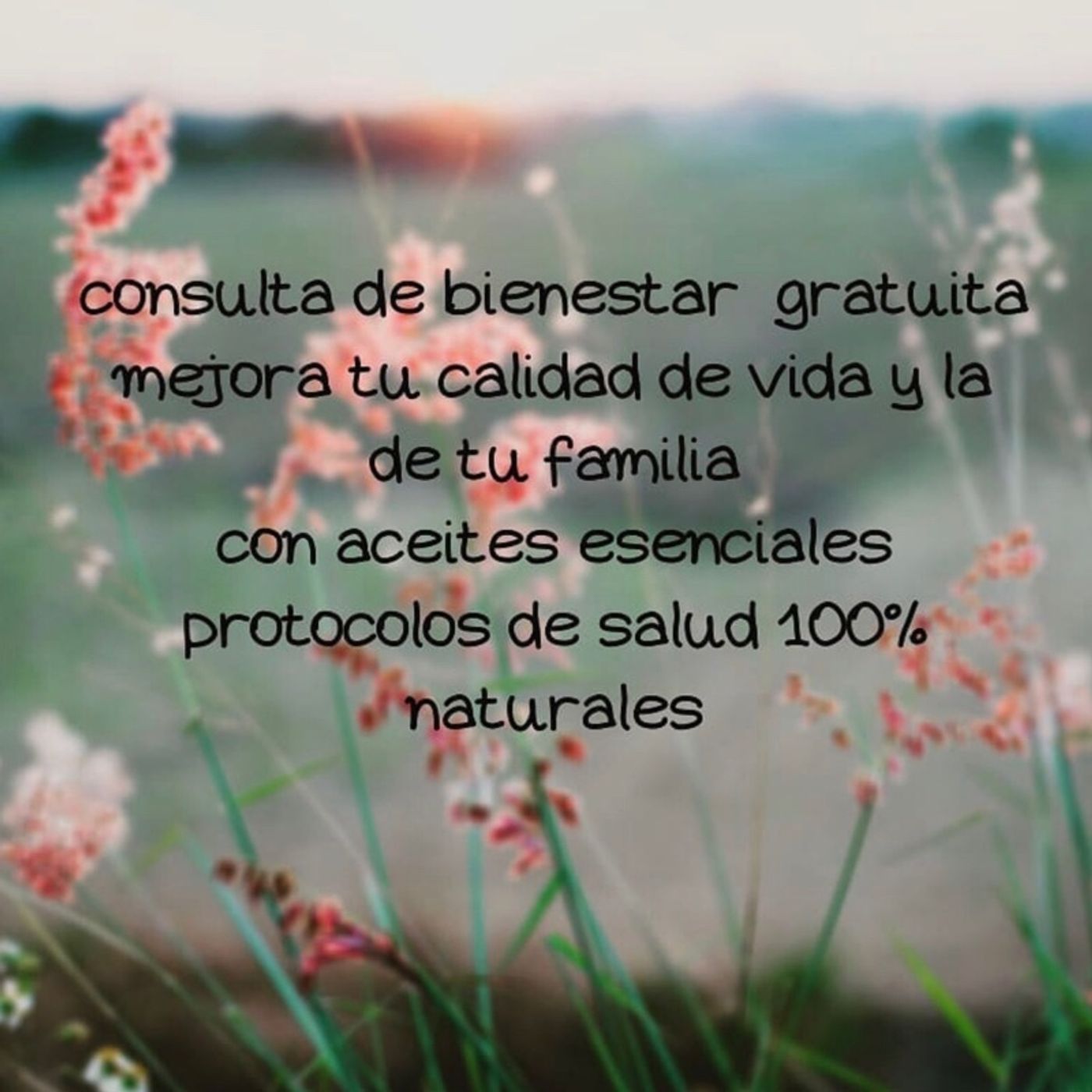El Podcast de Lourdes Munguía